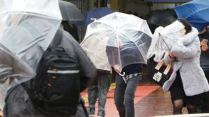 台風 風