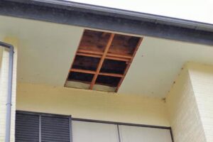 台風風被害