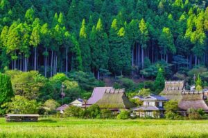 美山