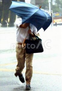 台風風被害