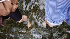 みたらし池　下鴨神社