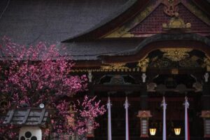 北野天満宮 梅苑