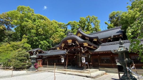 京都　今宮神社